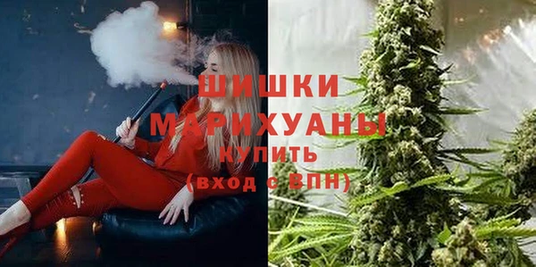 стафф Кодинск