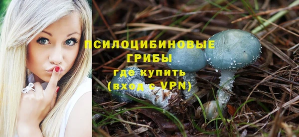 ECSTASY Кинешма