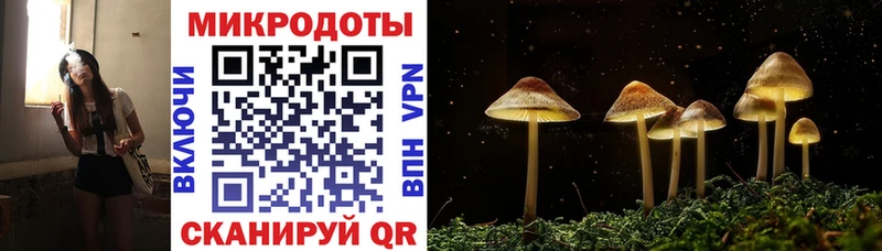 Галлюциногенные грибы Magic Shrooms  Красноуральск 